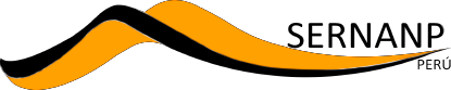 OVO99 Logo